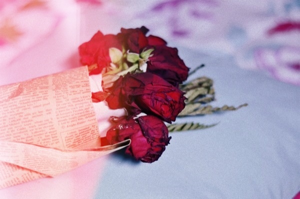 اليوم (٥) ماذا أعني له ؟ 