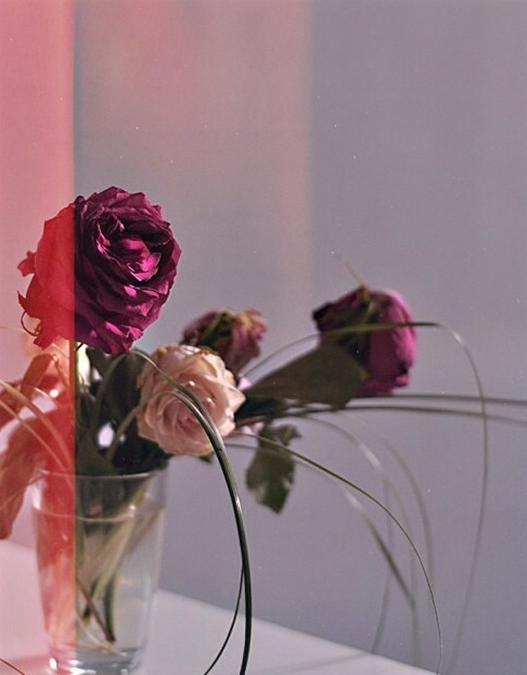 اليوم (٧) هل كل الرجال أوغاد ٢؟ 