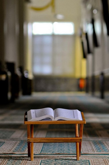 tumblr_myl8d7RdRb1sp4g4lo1_500