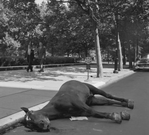 بدون عنوان-29